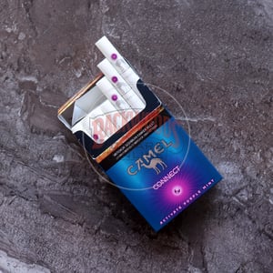 Camel Connect Activate Purple Mint