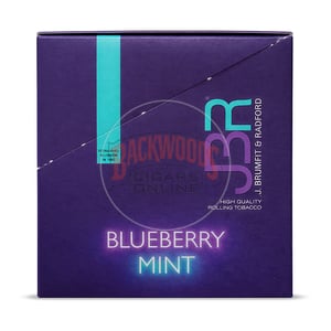 JBR Blueberry Mint 30g