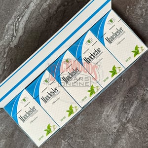 Manchester Gum Mint