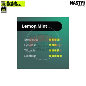 NASTY Hooqa DFR10Ki Shisha Lemon Mint
